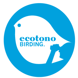 Ecotono Birding